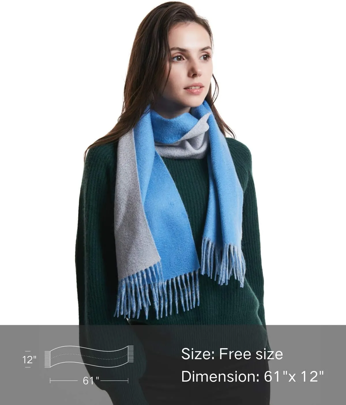 EURKEA 100% Cashmere 2024 Winter Scarf for Women, Fringed Edges, Warm & Soft, Lightweight, Gift Ready, Solid/Plaid/Two-Tone